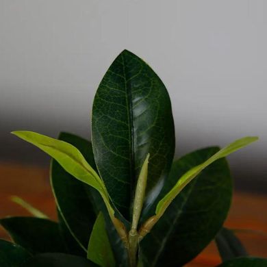 Штучна рослина Engard Magnolia 40 см (DW-16)