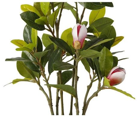 Штучна рослина Engard Magnolia 70 см (DW-17)