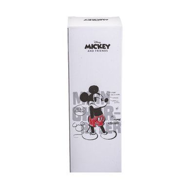 Термос дитячий Disney з кришкою на защіпці 500 мл Чорний HP-14-3B