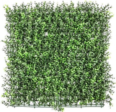 Декоративне зелене покриття Самшит 50х50 см GCK-03