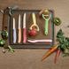 Кухонний набір Victorinox SwissClassic Paring Set, 3 предмети (Vx67116.34L1)