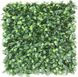 Декоративне зелене покриття Самшит молодий 50х50 см GCK-05