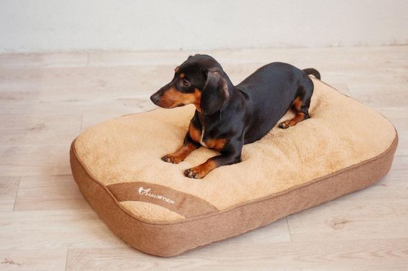Матрас для собак Teddy Gold 95х60х11см