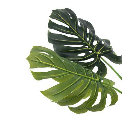 Искусственное растение Engard Monstera 165 см (DW-22)