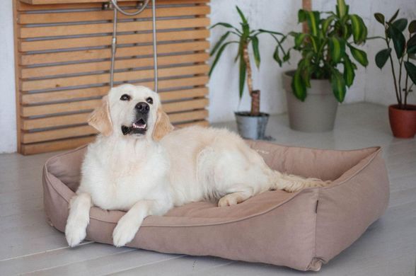 Лежак Для Собак Та Котів Sweet Dreams Velour Beige XS - 60х45х20см