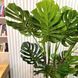 Искусственное растение Engard Monstera 165 см (DW-22)