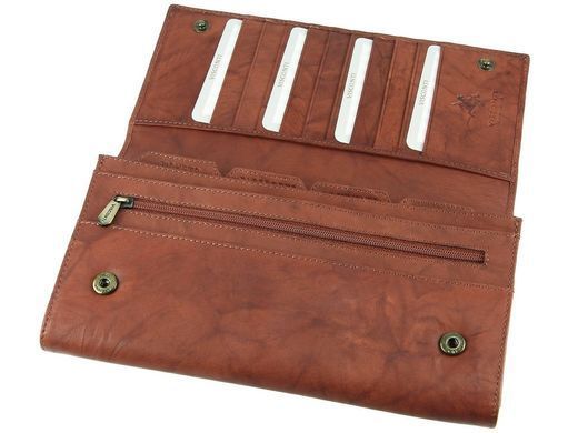 Кошелек для путешествий (тревелер) Visconti 1179 - Polo (brown)