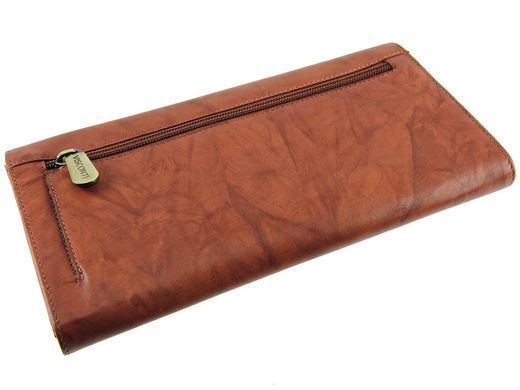 Кошелек для путешествий (тревелер) Visconti 1179 - Polo (brown)