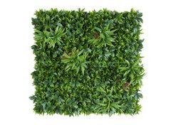 Декоративне вертикальне озеленення Фитостена 100x100 см GCK-12
