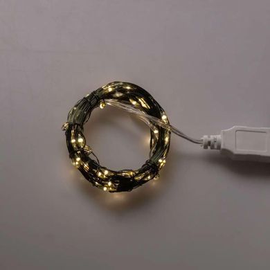 Гірлянда роса 10 метрів USB на 100 led світлодіодів крапля на зеленому дроті USB100L10MGY