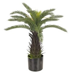 Штучна рослина Engard Fan Palm 60 см (DW-25)