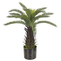 Штучна рослина Engard Cycas Palm 60 см (DW-25)