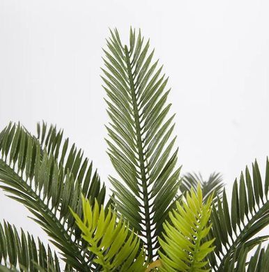 Штучна рослина Engard Cycas Palm 60 см (DW-25)
