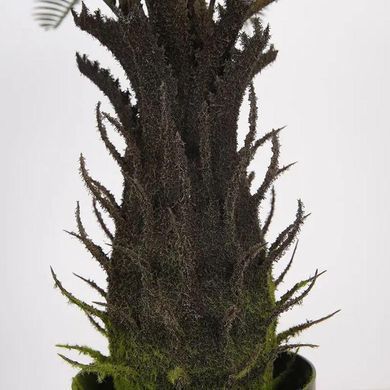 Штучна рослина Engard Cycas Palm 60 см (DW-25)