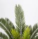 Штучна рослина Engard Cycas Palm 60 см (DW-25)