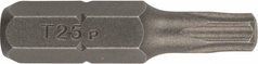 Набір біт Bosch Standard Torx T25 25 мм 2 шт (2609255935)
