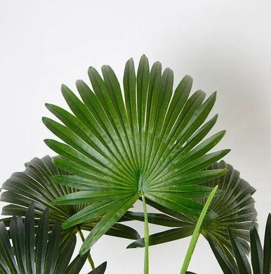 Искусственное растение Engard Fan Palm 95 см (DW-26)