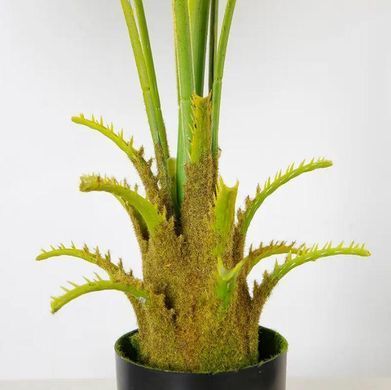 Искусственное растение Engard Fan Palm 95 см (DW-26)
