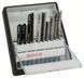 Набір з 10 пиляльних полотен Bosch Robust Line Top Expert (2607010574)