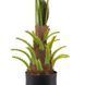 Искусственное растение Engard Fan Palm 95 см (DW-26)