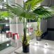 Искусственное растение Engard Fan Palm 95 см (DW-26)