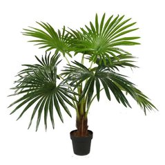 Штучна рослина Engard Fan Palm 120 см (DW-27)
