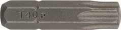 Набір біт Bosch Standard Torx T40 25 мм 2 шт (2609255938)