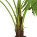 Искусственное растение Engard Fan Palm 120 см (DW-27)