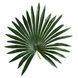 Искусственное растение Engard Fan Palm 120 см (DW-27)