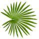 Искусственное растение Engard Fan Palm 120 см (DW-27)