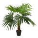 Искусственное растение Engard Fan Palm 120 см (DW-27)