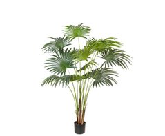 Штучна рослина Engard Fan Palm 150 см (DW-28)