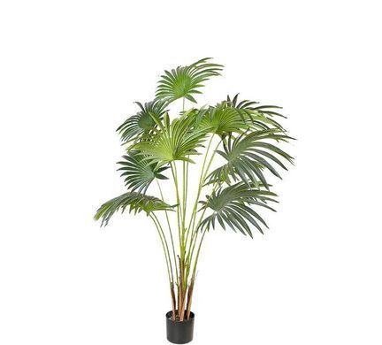 Штучна рослина Engard Fan Palm 150 см (DW-28)