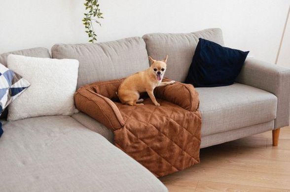 Диванний лежак для собак та котів Sofa Bed Gold