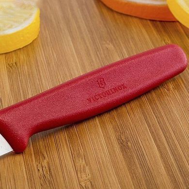 Кухонний ніж Victorinox Standard Paring, 8 см (Vx50401)