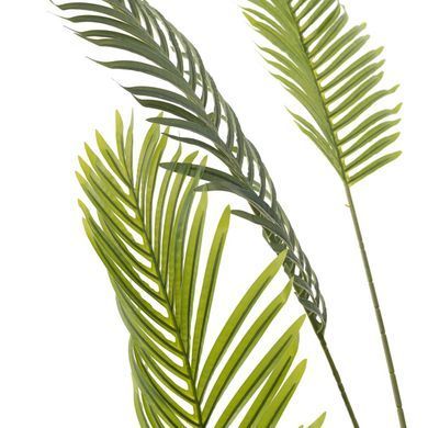 Штучне дерево Palm Tree Engard 182 см. TW-29