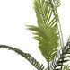 Штучне дерево Palm Tree Engard 182 см. TW-29