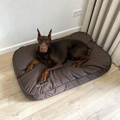 Матрас для Собак и Котов Teddy Chocolate M - 80х50х11см