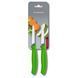 Кухонний набір Victorinox SwissClassic Paring Set, 2 предмети (Vx67606.L114B)