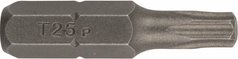 Набір біт Bosch Standard Torx T25 25 мм (2 шт)