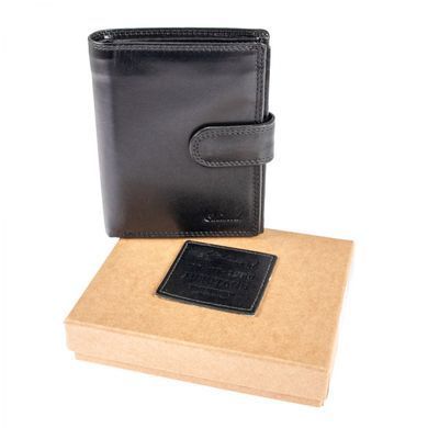 Гаманець чоловічий шкіряний Ashwood 1246 VT BLK чорний