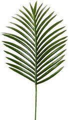 Штучне листя Engard Hawaii Palm темний 82 см (DW-34)