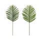 Штучне листя Engard Hawaii Palm темний 82 см (DW-34)