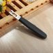 Кухонний ніж Victorinox Lemon decorator (Vx53403)
