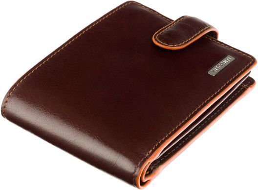 Кошелек мужской кожаный Visconti ALP93 Morgex (Brown) коричневый