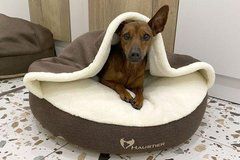 Лежак для Собак и Котов Lounge Brown с капюшоном S диаметр 60см