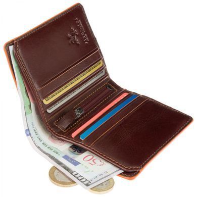 Гаманець чоловічий шкіряний Visconti ALP92 Tignes (Brown) коричневий