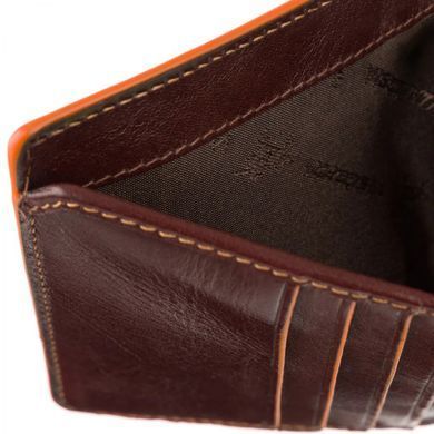 Гаманець чоловічий шкіряний Visconti ALP92 Tignes (Brown) коричневий