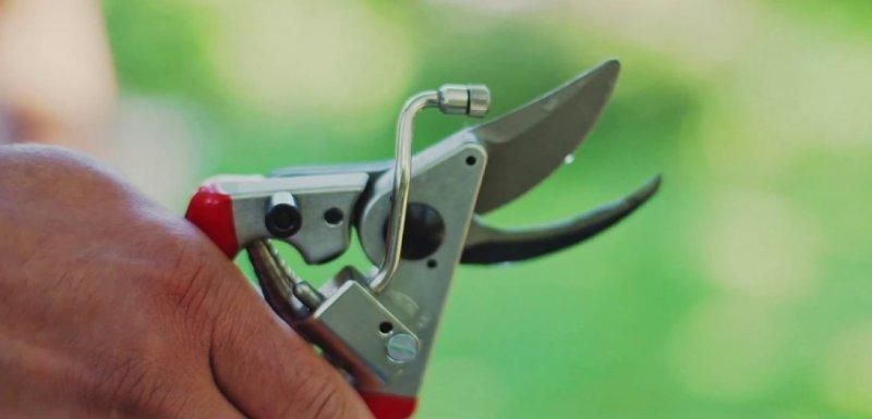 Садовий секатор з пульверизатором FELCO 19 (Felco19)